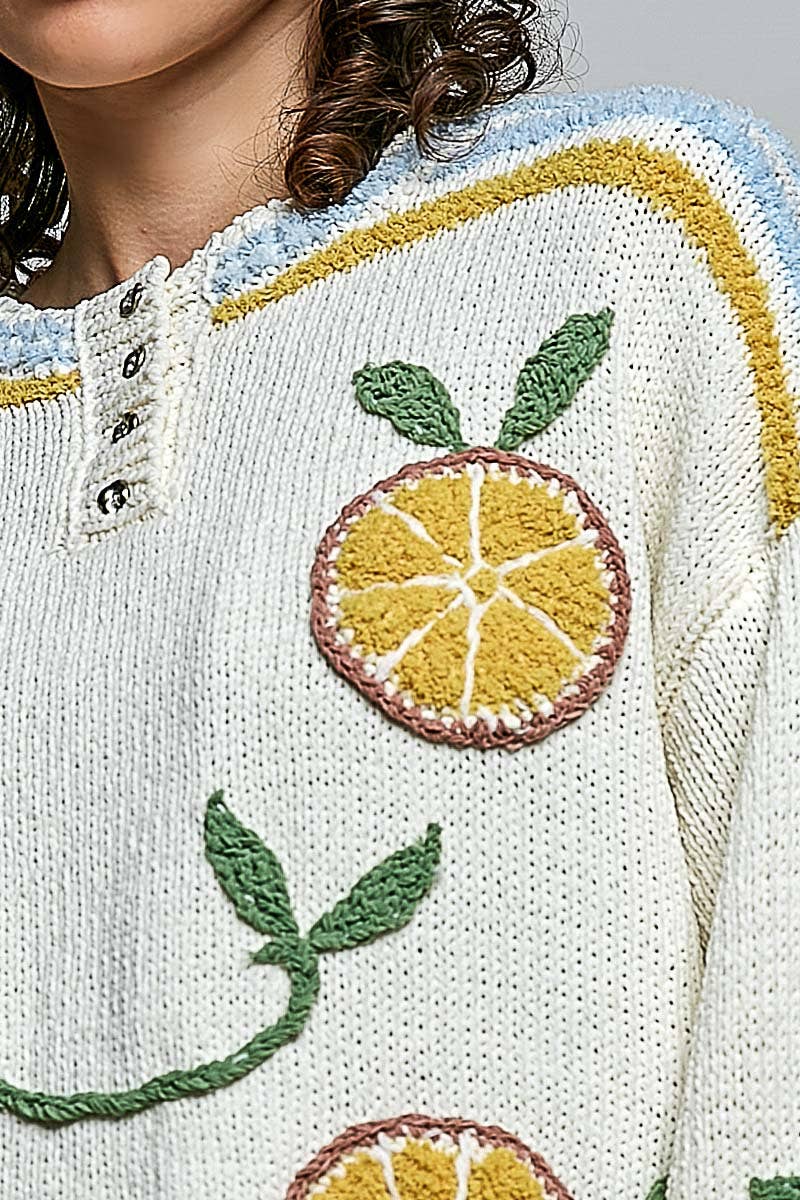 3D Lemon Embroidery Long Sleeve Cozy Pullover Berber Sweater