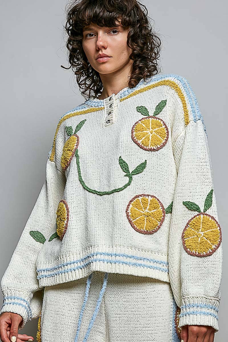 3D Lemon Embroidery Long Sleeve Cozy Pullover Berber Sweater